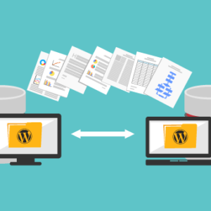 WordPress Website Migration Services